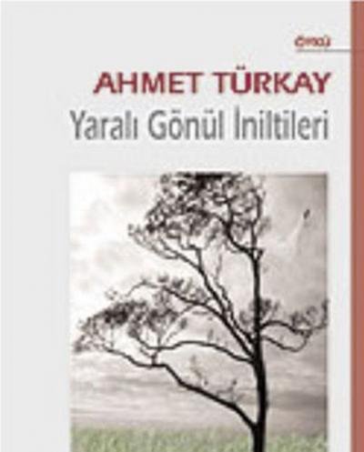Yaralı Gönül İniltileri %20 indirimli Ahmet Türkay