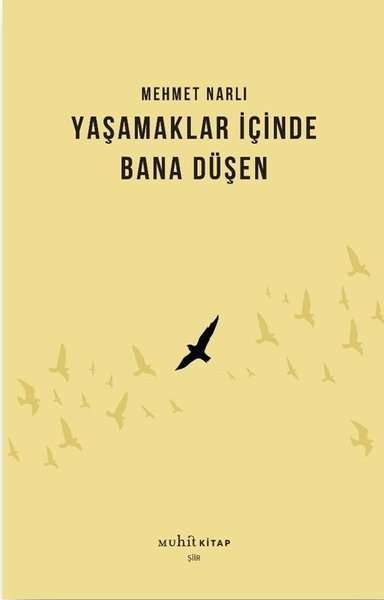 Yaşamaklar İçinde Bana Düşen