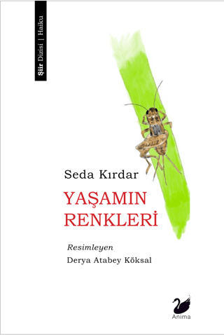 Yaşamın Renkleri