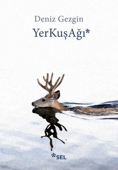 Yerkuşağı Deniz Gezgin