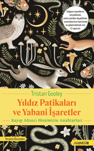 Yıldız Patikaları ve Yabani İşaretler Kayıp Altıncı Hissimizin Anahtarları