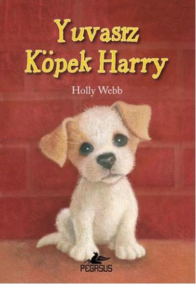 Yuvasız Köpek Harry Holly Webb